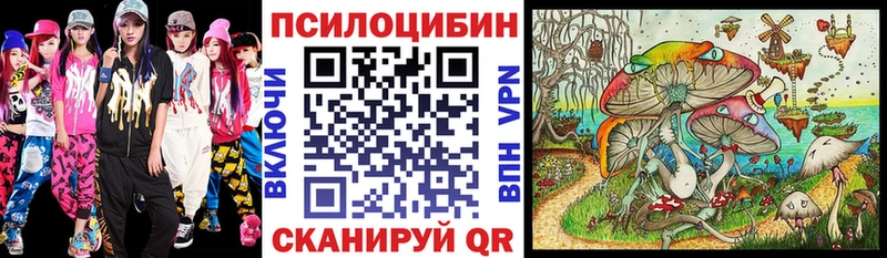 Псилоцибиновые грибы Psilocybe  Чкаловск 
